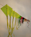 Long Set of Kites - Jakarta International Kite Show